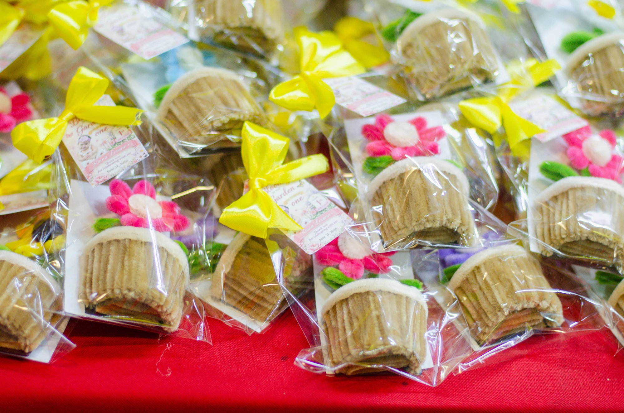 Kiana’s first birthday collection — DSC_5554.jpg