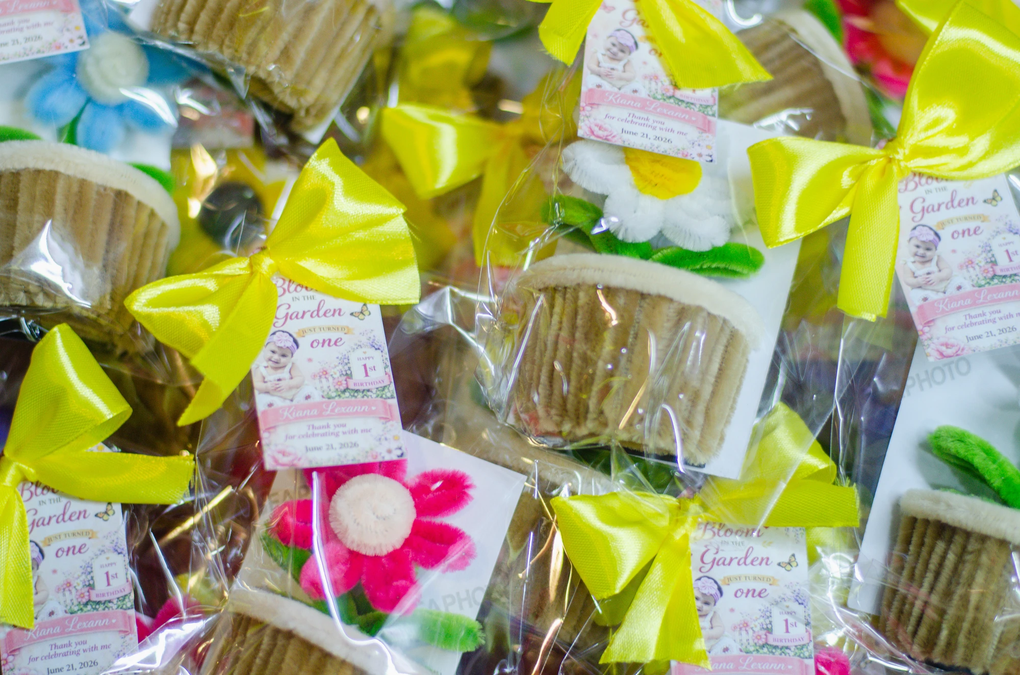 Kiana’s first birthday collection — DSC_5558.jpg