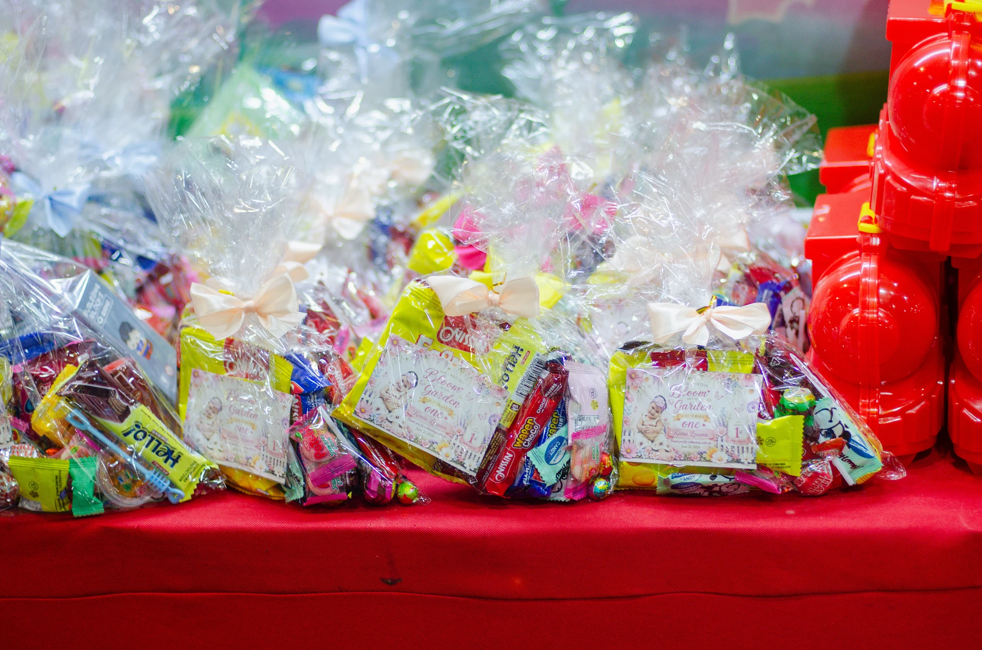 Kiana’s first birthday collection — DSC_5551.jpg